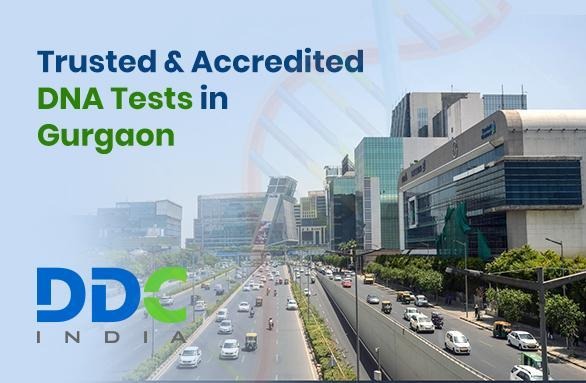 Immigration DNA Tests in Gurgaon Helping Families Move Forward with Ease Immigration DNA Tests in Gurgaon Helping Families Move Forward with Ease